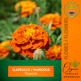 Marigold Naranja
 - Repelente de insectos
 - Semillas de flores
 - Cultivo de flores
 - Jardinería ecológica
 - Semillas de polinización abierta
 - Control de plagas natural
