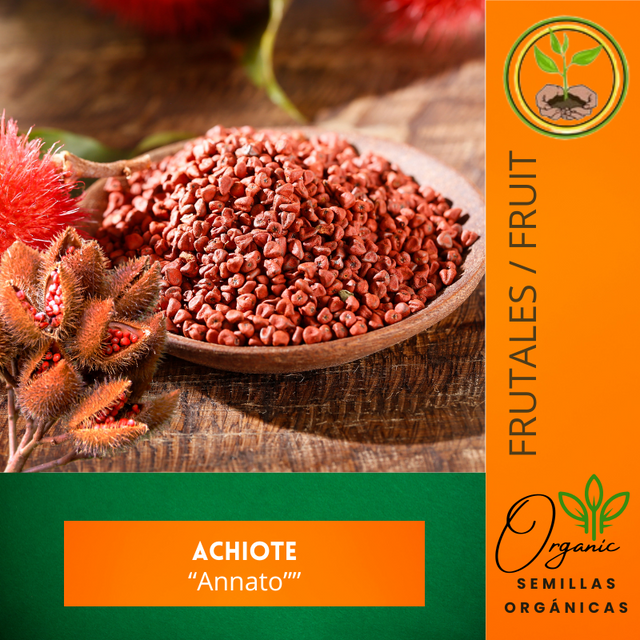 Semillas Achiote
 - Colorante natural
 - Bixa orellana
 - Cultivo de achiote
 - Beneficios del achiote
 - Cocina caribeña
- Propiedades medicinales del achiote
 - Jardinería tropical
