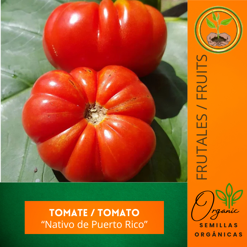 Jardinería caribeña
 - - Tomate heirloom
 - Reliquia Boricua
 - Lycopersicum esculentum
 - Cultivo de tomate en Puerto Rico
 - Jardinería caribeña
 