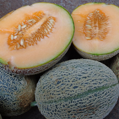 Paquete de semillas de Melón Cantaloupe - 20 semillas para cultivo