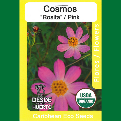 Semillas de Cosmos Rosita
 - Flores para polinizadores
 - Jardinería sostenible
 - Semillas de tradición de Puerto Rico
 - Cultivo de flores
 - Plantas para atraer mariposas
 - Cosmos para decoración
 - Flores de jardín