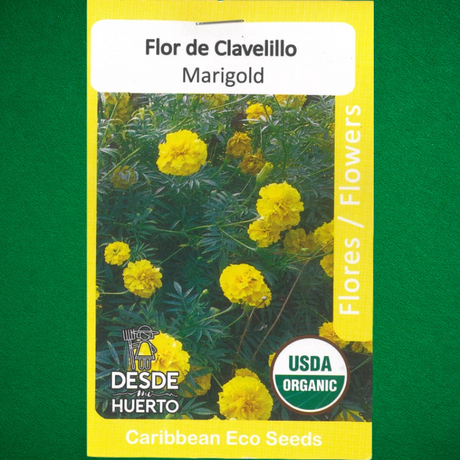 Semillas Clavelillo
 - Marigold Amarillo
 - Repelente de insectos
 - Semillas de flores
 - Jardinería ecológica
 - Semillas de polinización abierta
 - Control de plagas natural - 
Cultivo de flores
