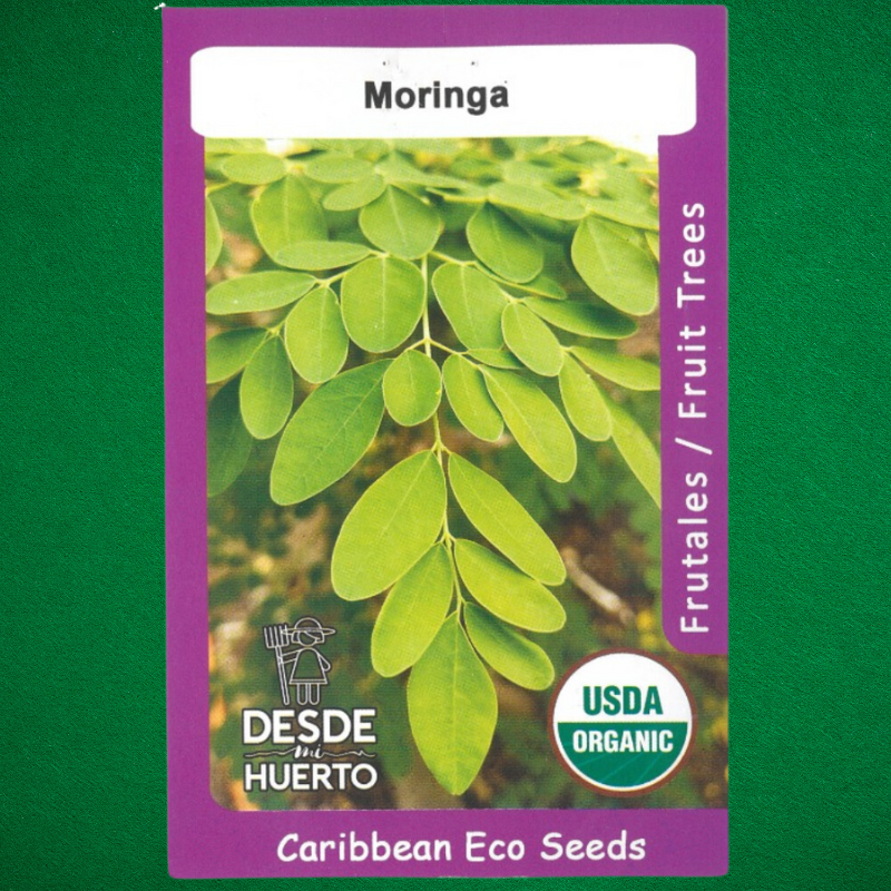 Semillas de Moringa
 - Propiedades nutricionales de la Moringa
 - Cultivo de Moringa
 - Semillas de polinización abierta
 - Beneficios de la Moringa
 - Jardinería en Puerto Rico
 - Antioxidantes naturales
 - Salud y bienestar
