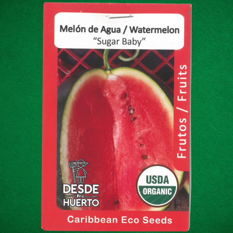 Semilla de melón - Sandía Sugar Baby - Cultivo de sandía - Semillas de polinización abierta - Huertos urbanos -  Frutos dulces - Jardinería fácil - Cultivo en espacios reducidos