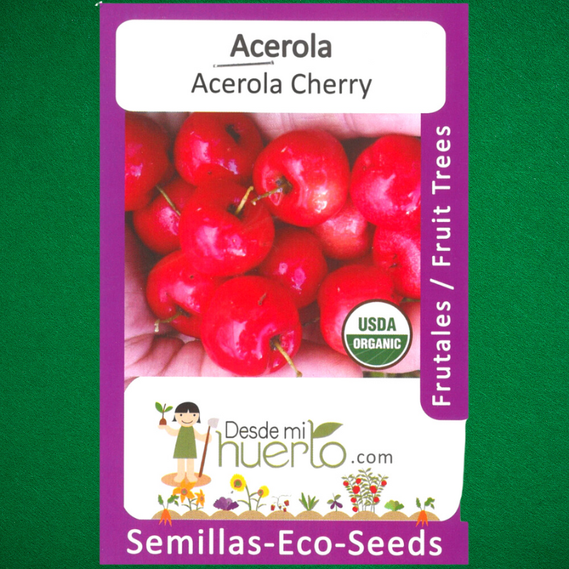 Acerola cherry - Semillas de acerola - Cultivo de acerola - Frutas tropicales - Jardinería tropical - Alta en vitamina C - Huertos urbanos - Plantas frutales