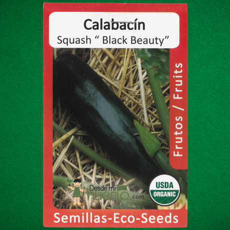 Semillas de calabacín - Calabacín "Black Beauty" - Cultivar calabacín - Jardinería en casa - Huertos urbanos - Recetas con calabacín - Semillas orgánicas
