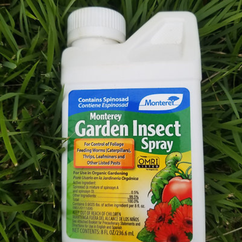 monteray garden insect spray Insecticida