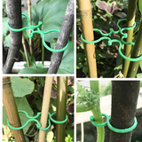 Clips para Plantas