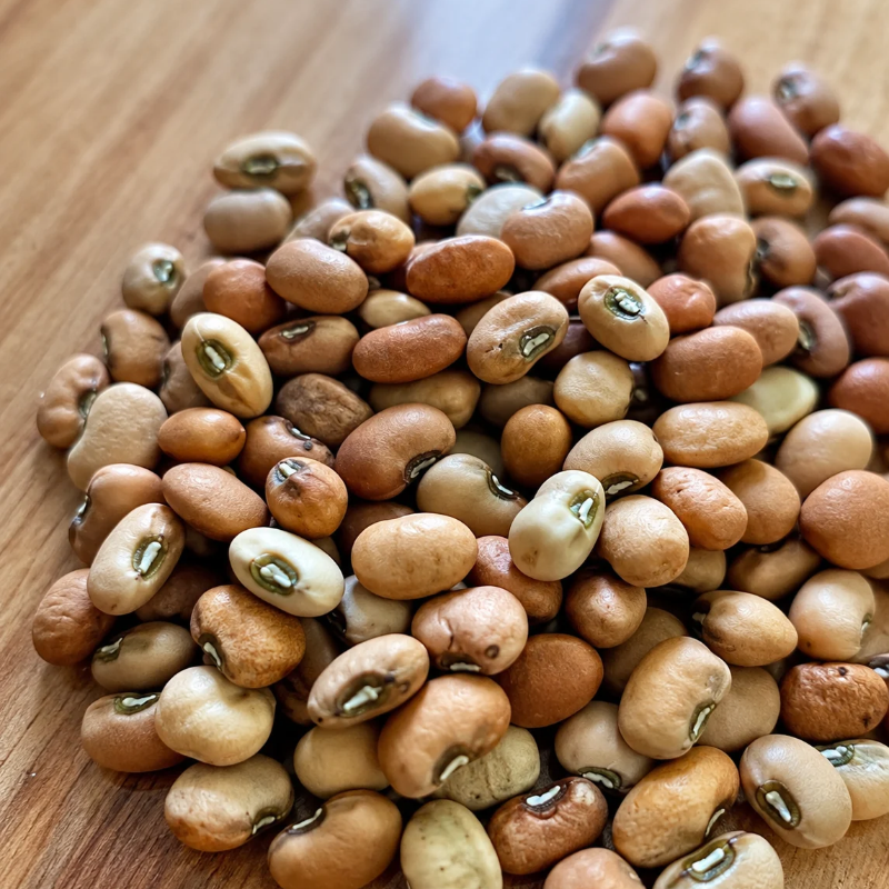 Semillas de Frijol Crema para sembrar