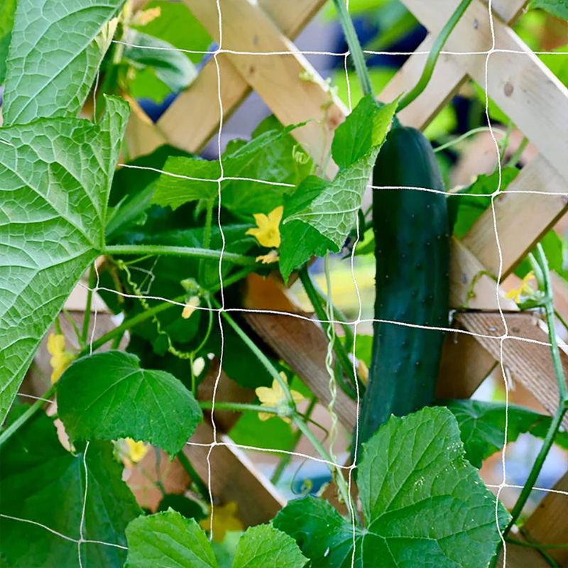 Red de enrejado - Malla para plantas trepadoras - Protección para verduras - Control de plagas - Red antiaves - Soporte para plantas - Jardinería urbana - Cultivos en espacios pequeños