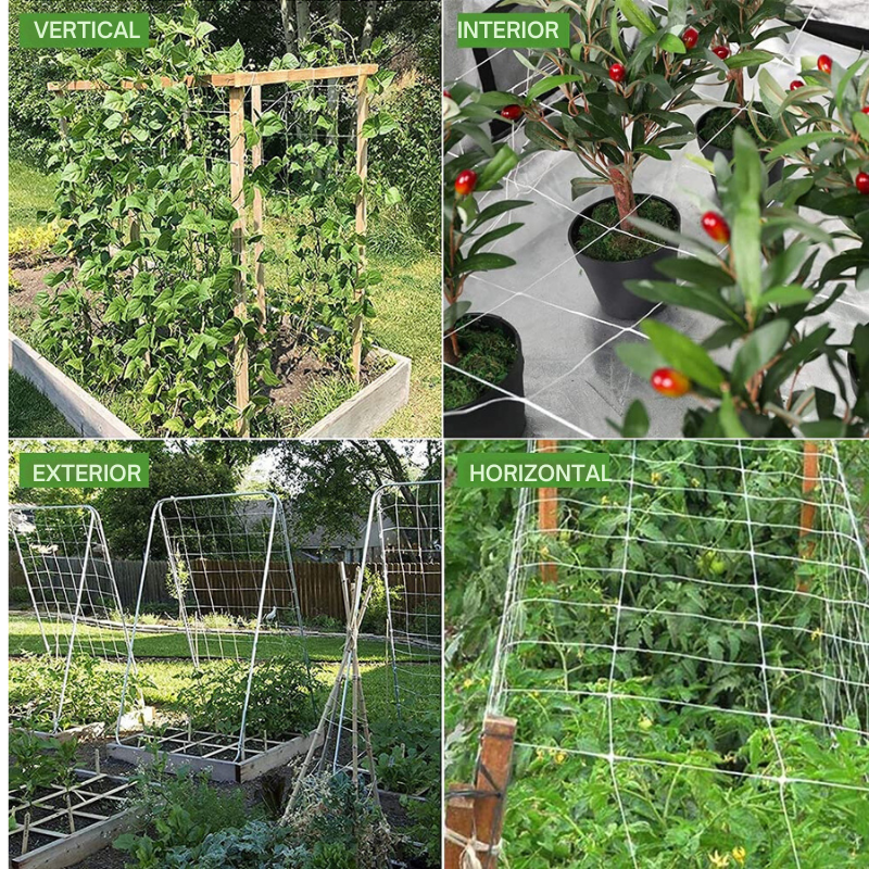 Red de enrejado - Malla para plantas trepadoras - Protección para verduras - Control de plagas - Red antiaves - Soporte para plantas - Jardinería urbana - Cultivos en espacios pequeños