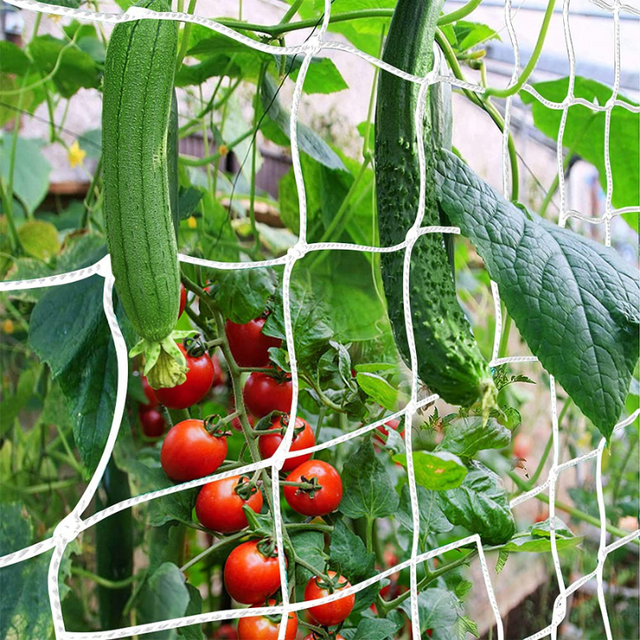 Red de enrejado - Malla para plantas trepadoras - Protección para verduras - Control de plagas - Red antiaves - Soporte para plantas - Jardinería urbana - Cultivos en espacios pequeños