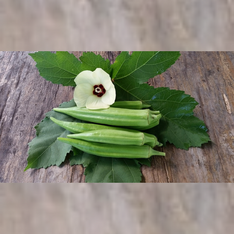 Semillas de quimbombó - Quimbombó verde - Cultivo de quimbombó - Verduras frescas - Jardinería casera - Huertos urbanos - Frutas de quimbombó