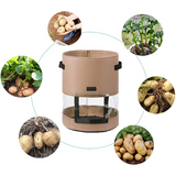 Bolsa Transparente para Cultivo