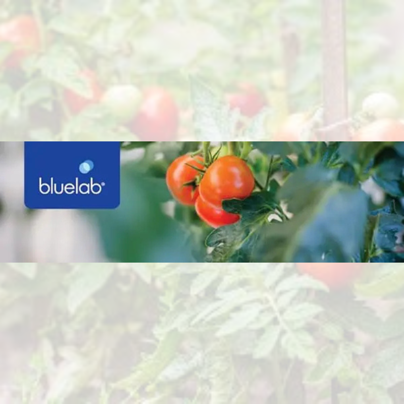 Medidor de pH del suelo - Medidor digital de pH - Herramienta de cultivo - Medición de pH - Cultivo hidropónico - Equipos de jardinería - Calibración de pH - Medidor de temperatura y pH