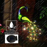Decoración solar para jardín - Luz LED de césped - Pavo real decorativo
 - Iluminación exterior - Luces solares impermeables  - Accesorios de jardín - Regalos para jardineros