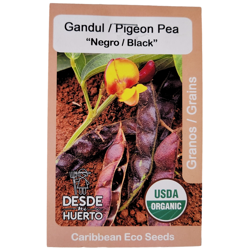 Black Pigeon Pea Seeds (ph1)