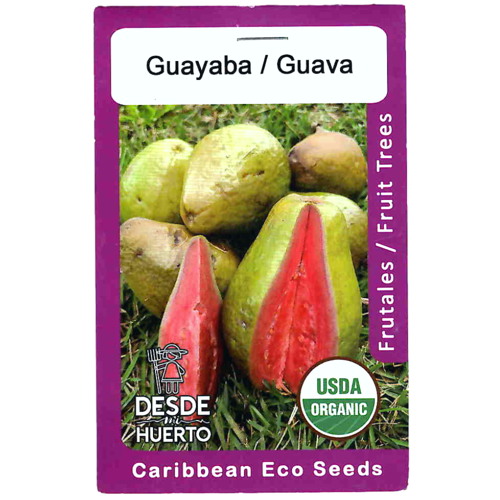 Semillas de guayaba pera - Cultivo de guayaba en casa - Guayaba pera polinización abierta - Frutas exóticas para cultivo - Instrucciones de siembra guayaba - Árbol de guayaba pera en casa - Semillas de guayaba orgánicas - Guayaba pera beneficios vitaminas - Plantar guayaba pera en casa