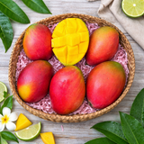 Injerto Mango