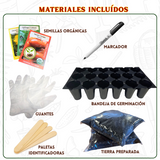 Semillas de fácil germinación para huerto casero en casa
