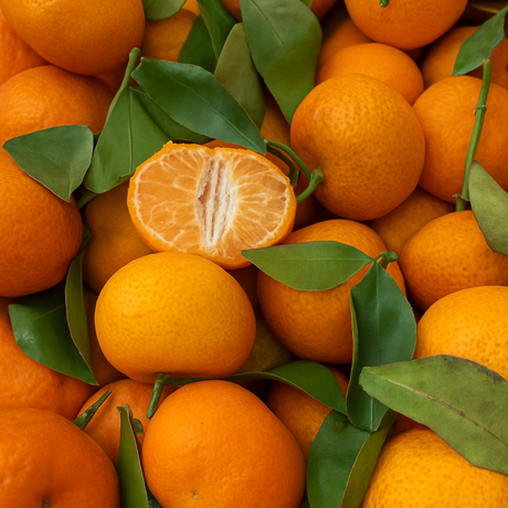 Injerto de Mandarina