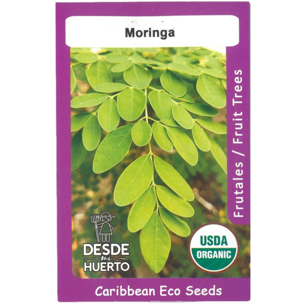 Semillas de Moringa (ph1)