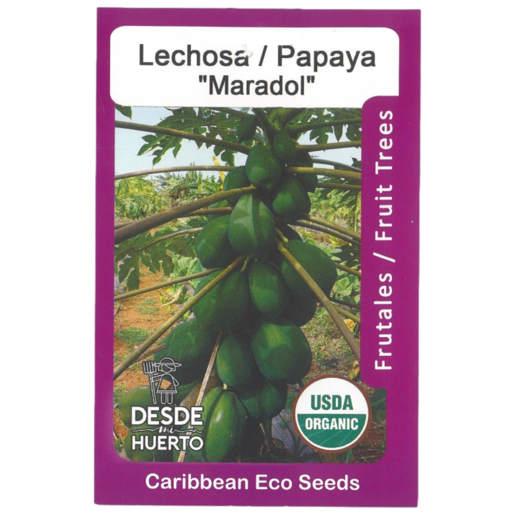 Semillas de Papaya Maradol (Enana)