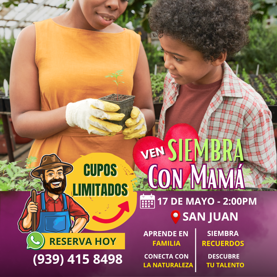Taller Siembra Familiar