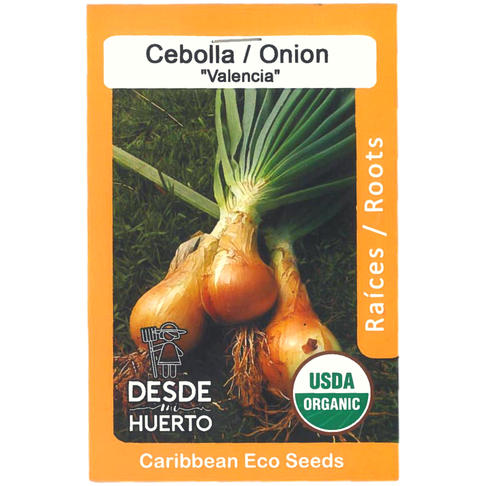 Valencia Onion Seeds (ph1)