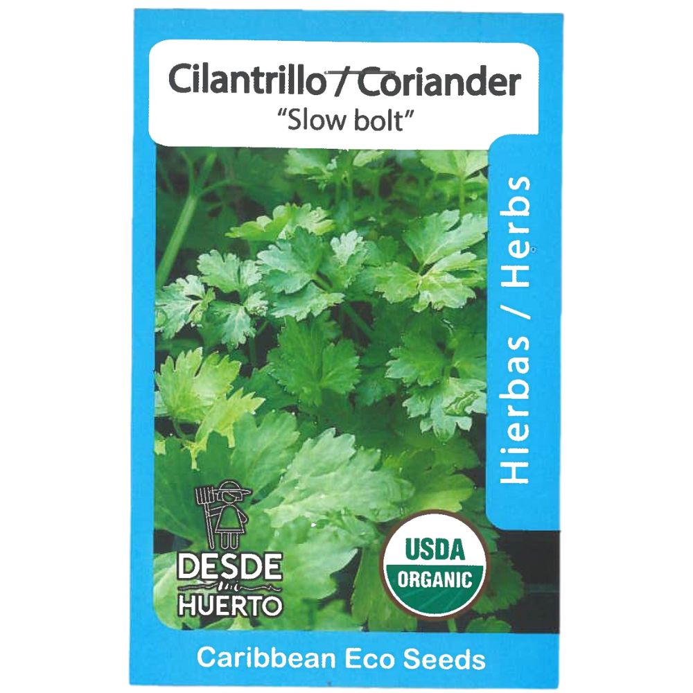 Coriander Seeds (ph1)