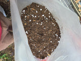 Tierra Mezcla Compo Trasplante 30 qts. (Agrícola)
