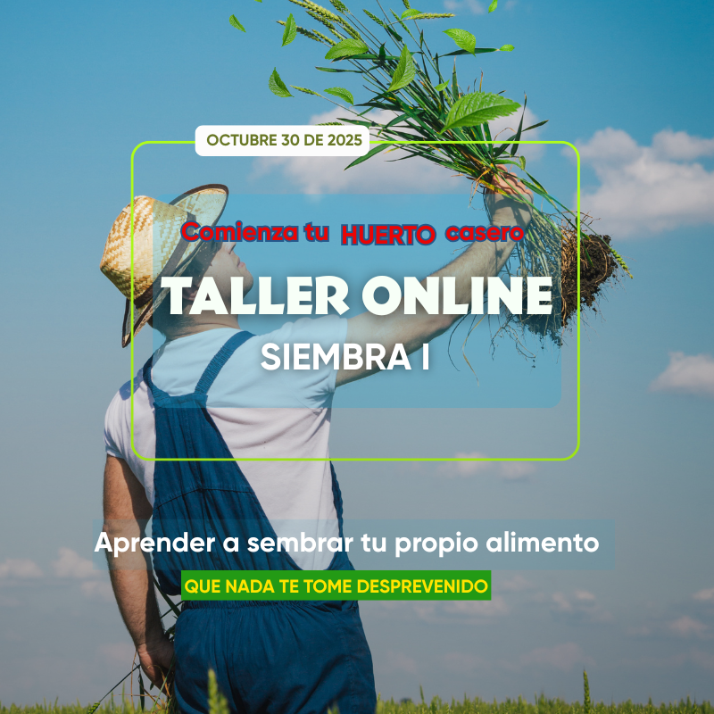 Kit de Huerto Casero con tierra y semillas para Taller de Siembra I