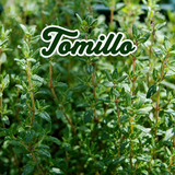 Recao, tomillo y albahaca cultivados en casa