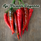 Combo de ajíes picantes para cultivo en casa