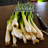 Combo Veggie