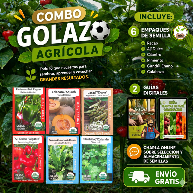 Combo Golazo Agrícola con semillas orgánicas de recao, gandúl enano, ají dulce, cilantrillo y lechuga.