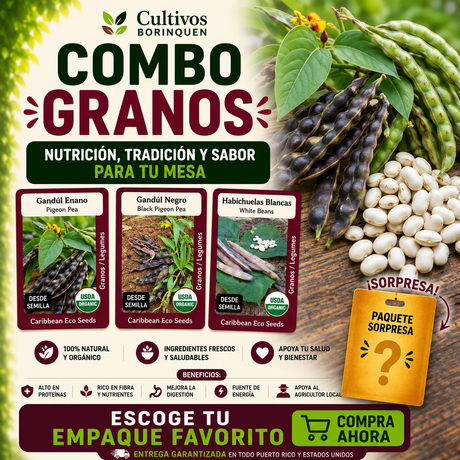 Combo Granos con semillas de gandúl enano, gandúl negro y habichuelas blancas
