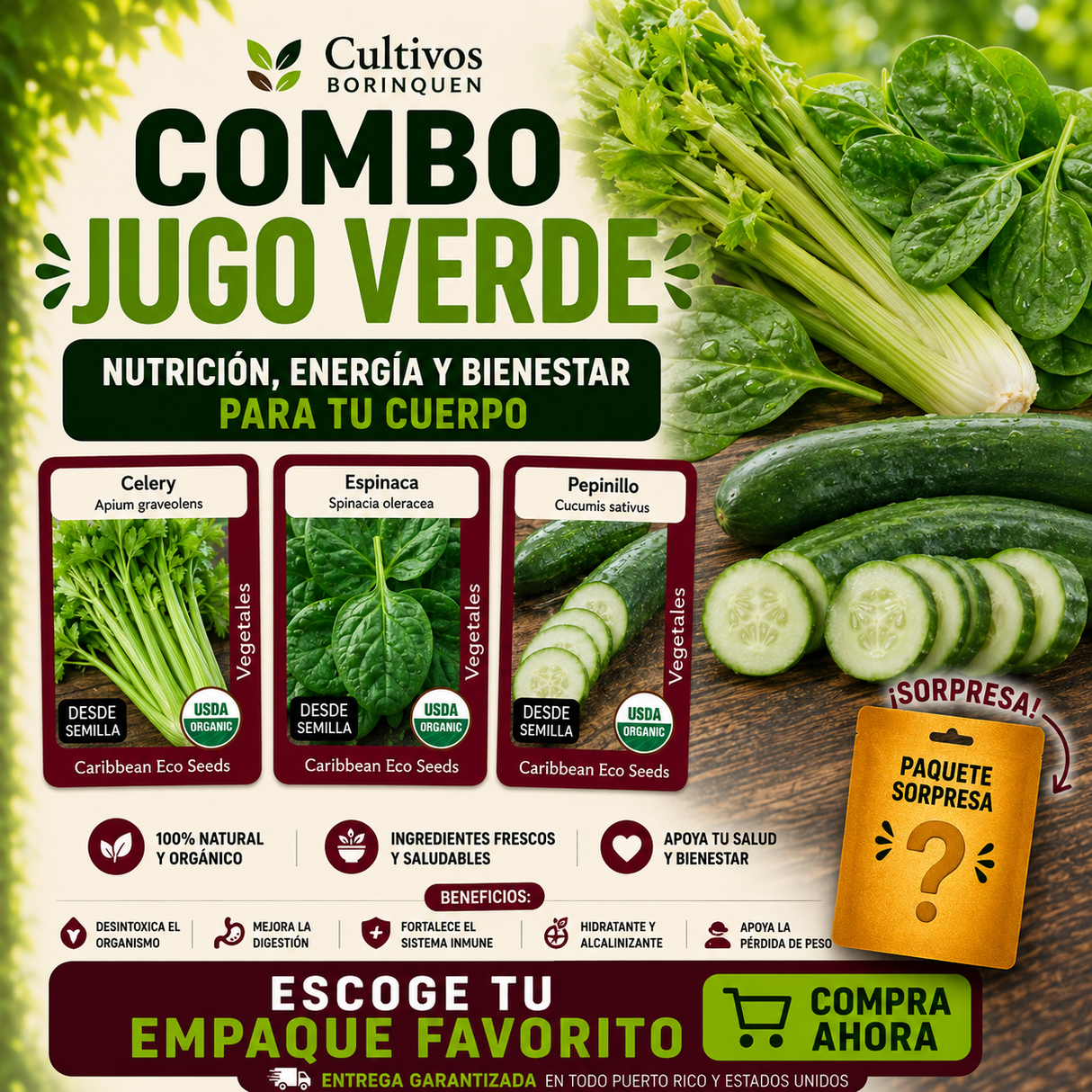 Combo Jugo Verde con semillas de celery, espinaca y pepino