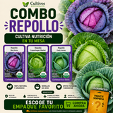 Combo Repollo con semillas de Repollo Red Acre, Copenhagen Market y Early Jersey