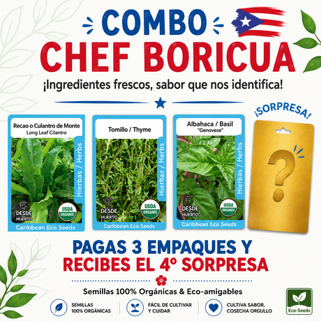 Combo Chef Boricua con semillas orgánicas de tomillo, albahaca y recao para cocina puertorriqueña.