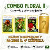 Combo Floral II con semillas de girasol Velvet Queen, algodoncillo y zinnia gigante.