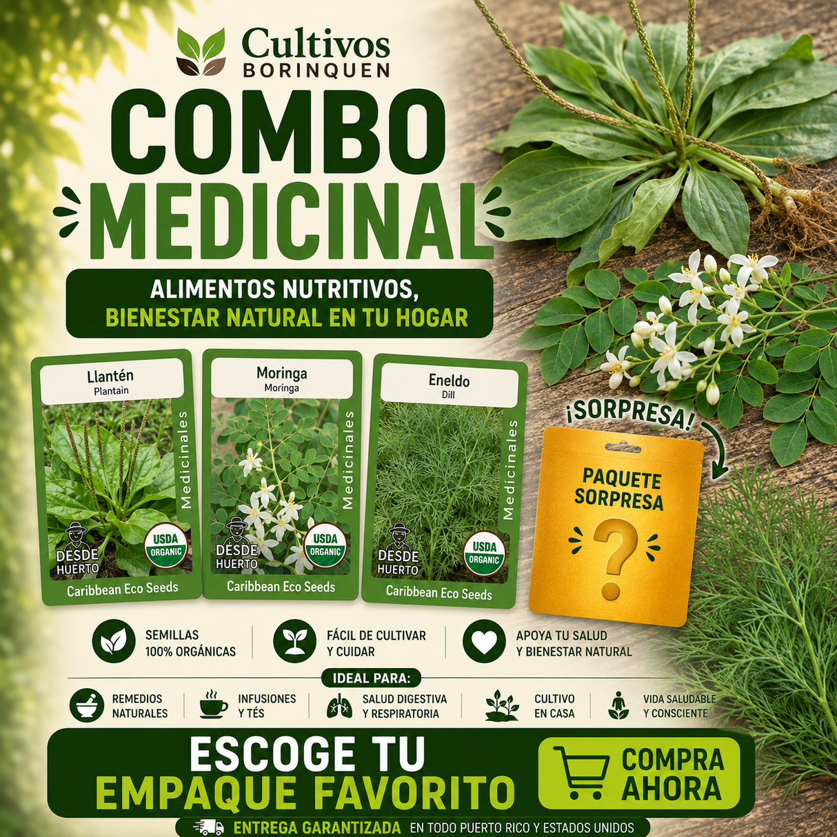Combo Medicinal con semillas de llantén, moringa y eneldo