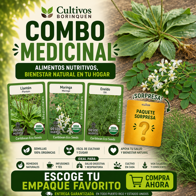 Combo Medicinal con semillas de llantén, moringa y eneldo