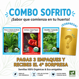 Combo Sofrito con semillas orgánicas de recao, ají dulce y cilantrillo para preparar sofrito casero.