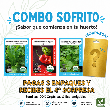 Combo Sofrito con semillas orgánicas de recao, ají dulce y cilantrillo para preparar sofrito casero.