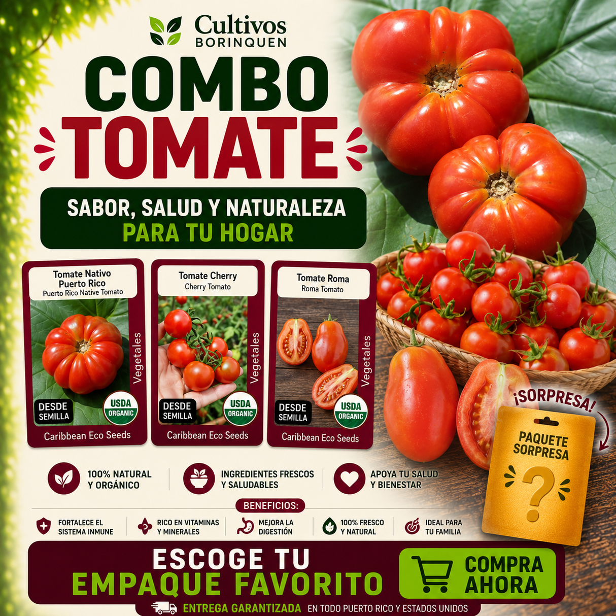 Combo Tomate con semillas de Tomate Nativo PR, Tomate Roma y Tomate Cherry