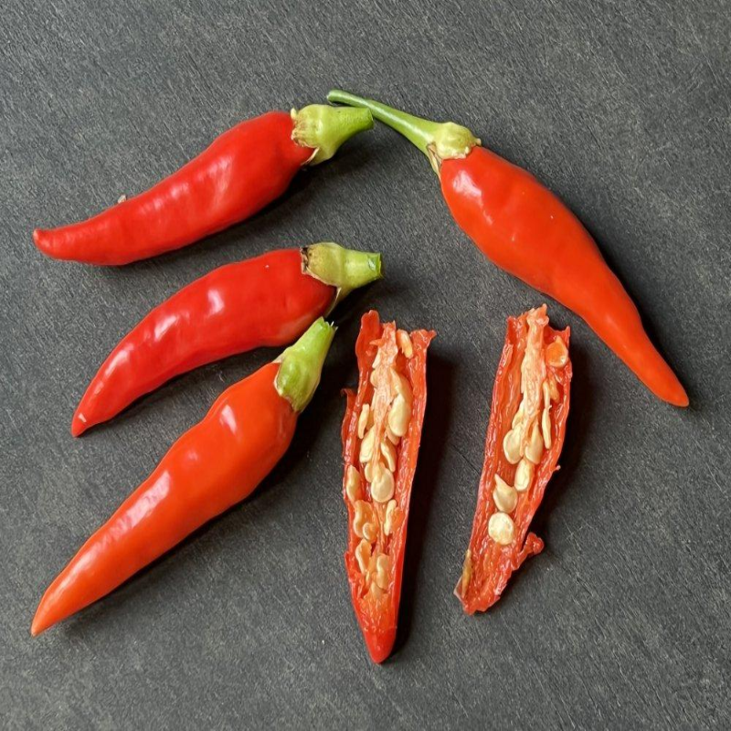 Paloma's Peak Hot Chili