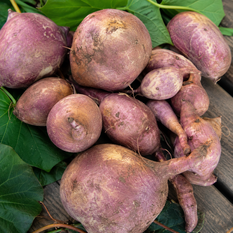 Batata Camuy