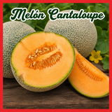 Combo de frutas para cultivar alimentos frescos en casa