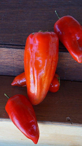 Semillas de Pimiento de Cocinar